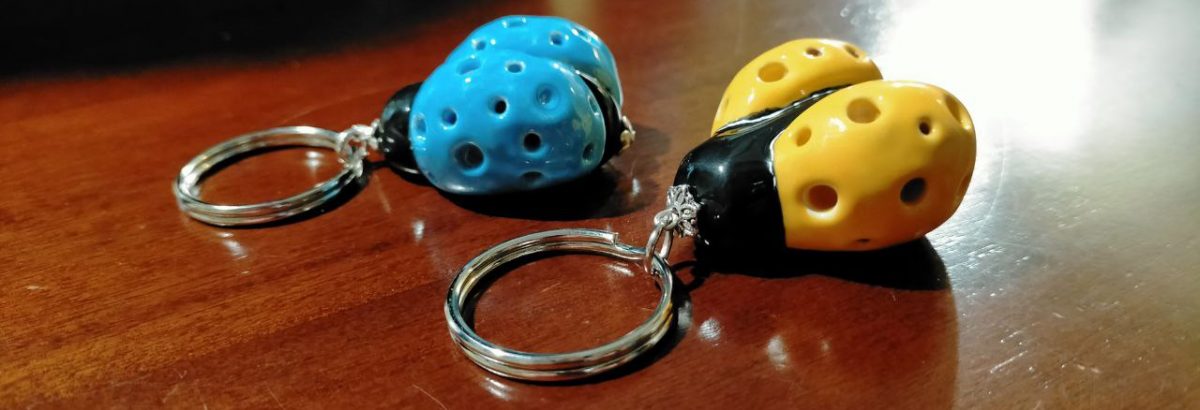 La coccinella gialla